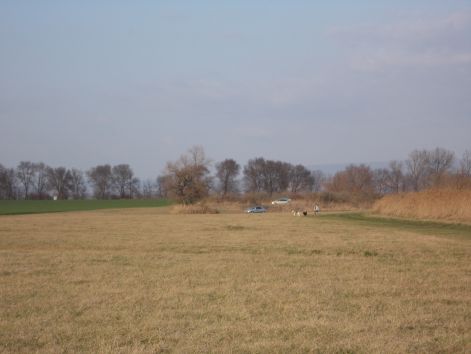 kutyusok_2014._tavaszan_001.jpg