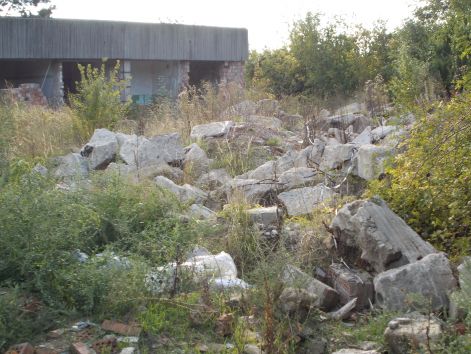 laktanya_2013_011.jpg