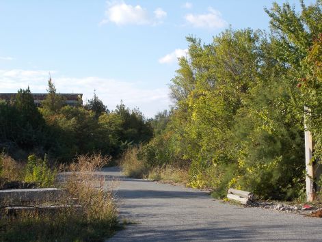laktanya_2013_014.jpg