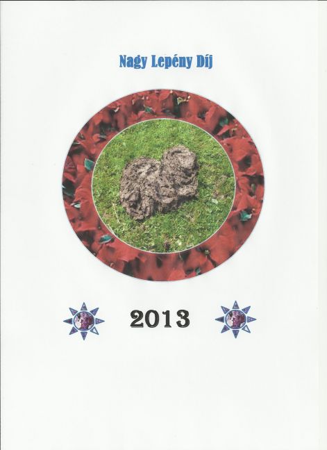 nagy_lepeny_dij_2013..jpg