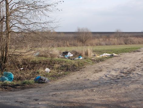 szemet_2014._tavaszan_001.jpg