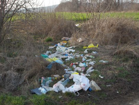 szemet_2014._tavaszan_005.jpg