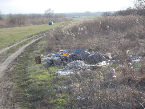 szemet_2014._tavaszan_006.jpg