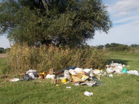 szemet_2016..jpg